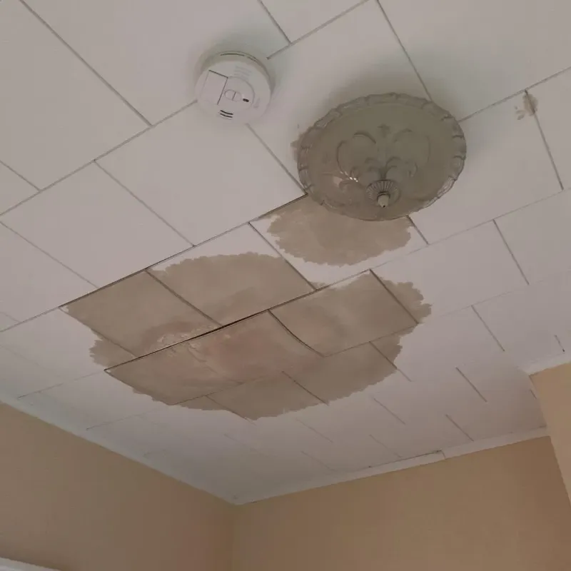 Ceiling Water Damage Repair in Brodheadsville, PA