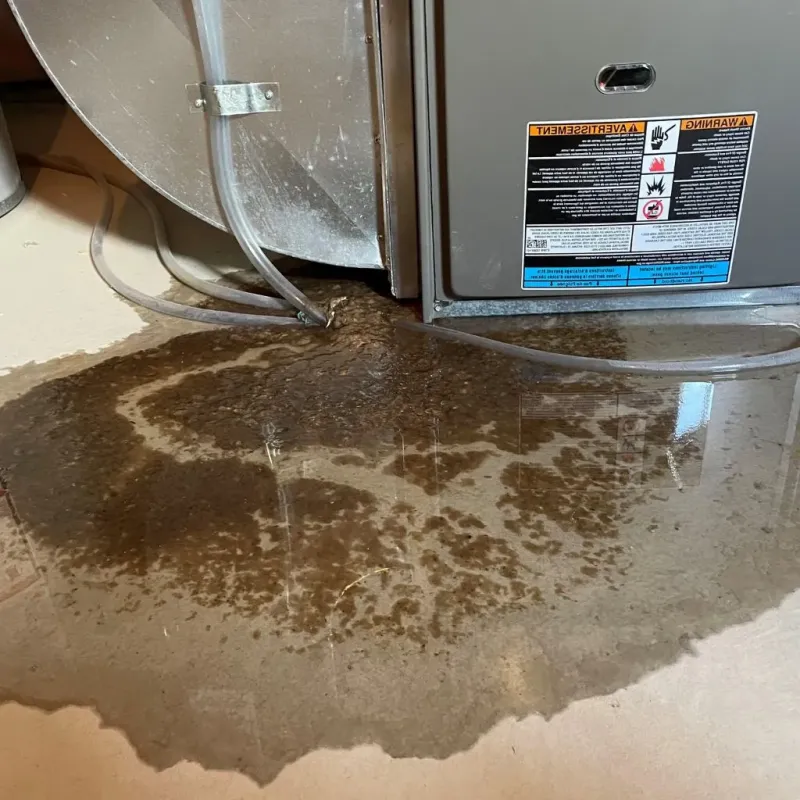 Pipe Burst and Leak Restoration in Brodheadsville, PA