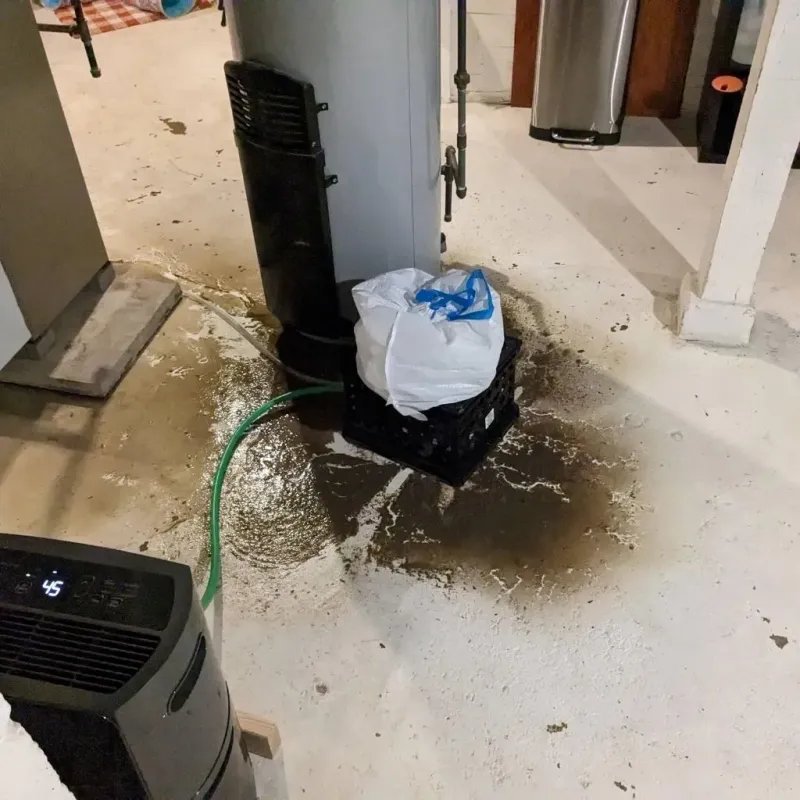 Sewage Backup Cleanup Service in Brodheadsville, PA